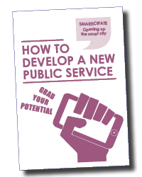 How to develop a new public service